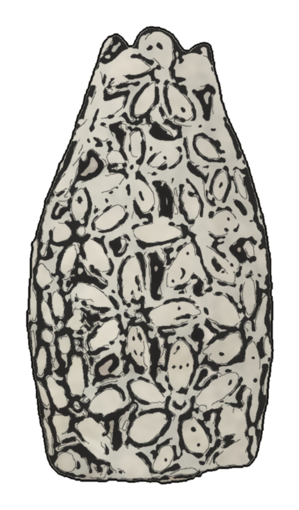 Ink drawing of Megan's carved flower vase